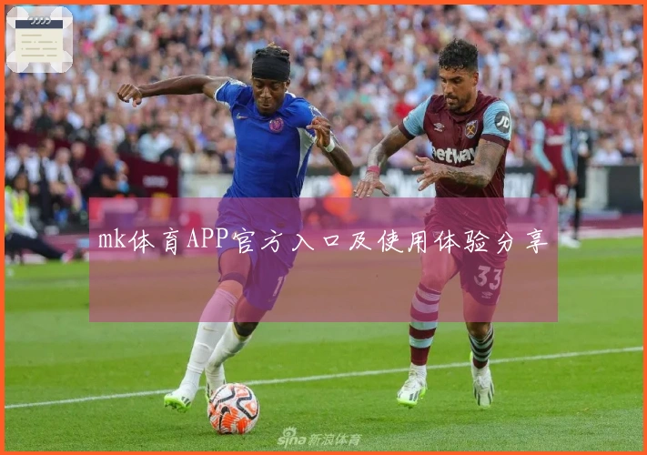 mk体育APP官方入口及使用体验分享