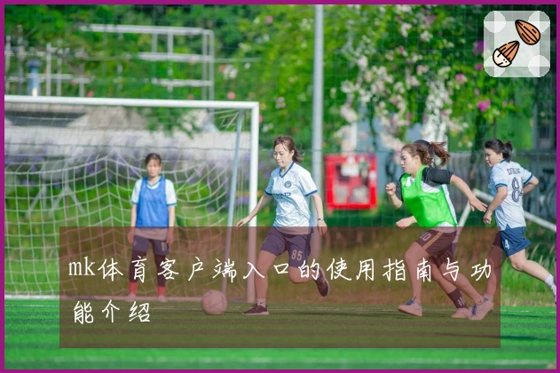 mk体育客户端入口的使用指南与功能介绍