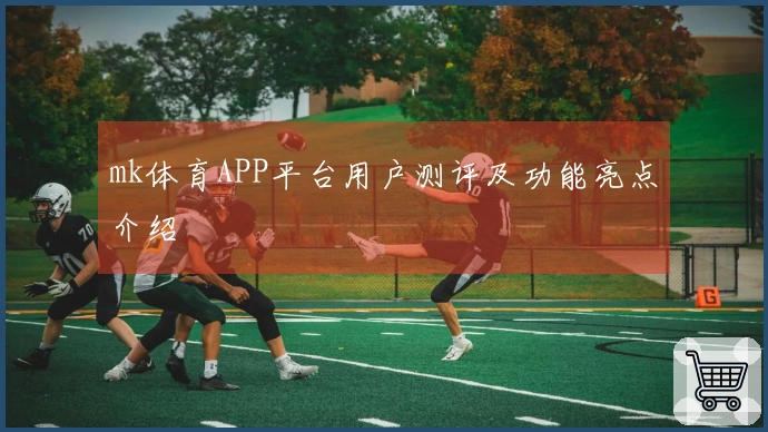 mk体育APP平台用户测评及功能亮点介绍