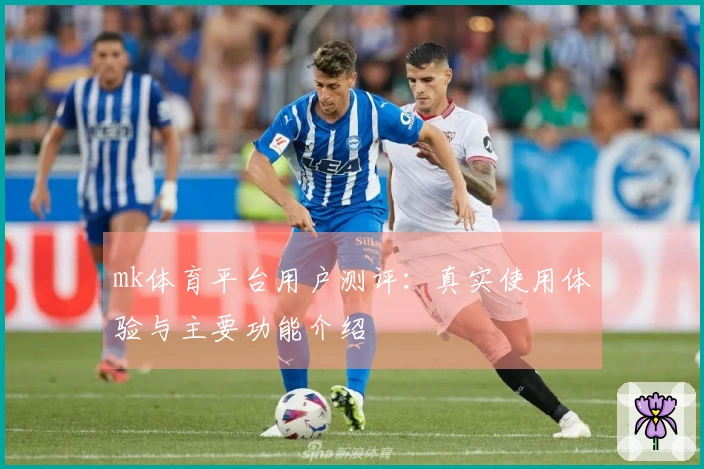 mk体育平台用户测评:真实使用体验与主要功能介绍