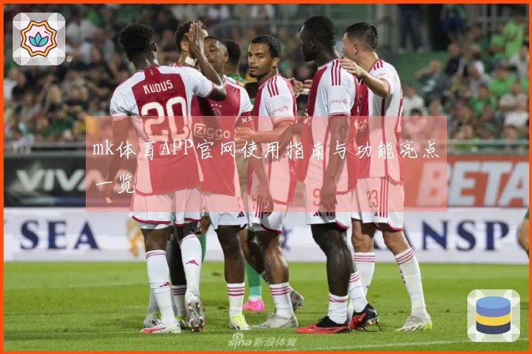 mk体育APP官网使用指南与功能亮点一览